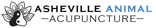 Asheville Animal Acupuncture